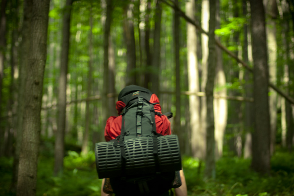 0-backpacking-in-allegheny-national-forest