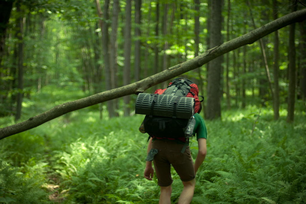 10-under-fallen-trees-backpacking