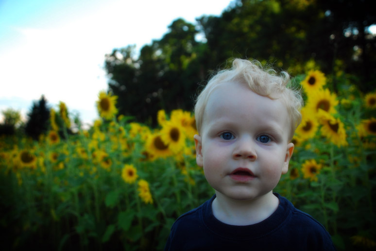 child next to sunflowers